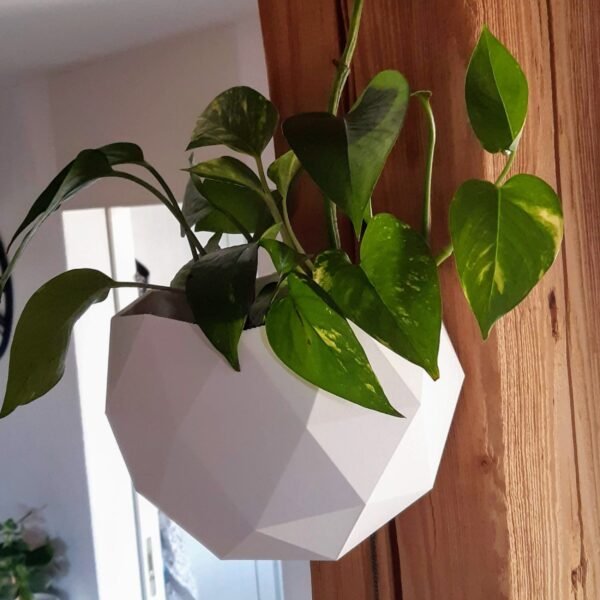 Hanging Flower Pot - Image 2