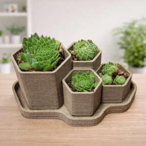 Hex Planter