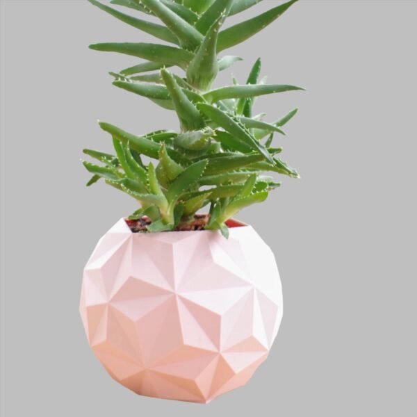 Geodesic Planter Pot