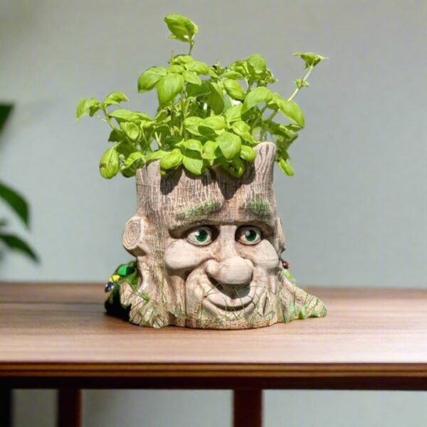 Cartoon Style Tree Face Planter