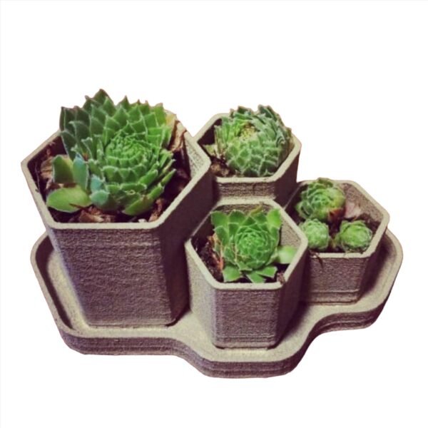 Hex Planter